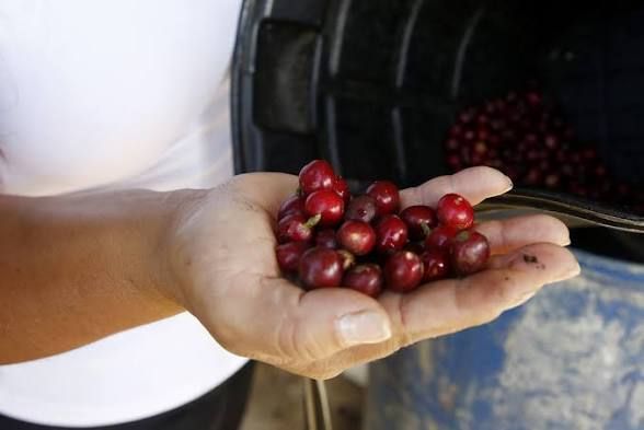 Aranceles canadienses a EE.UU. impactan el comercio internacional y las cadenas de suministro