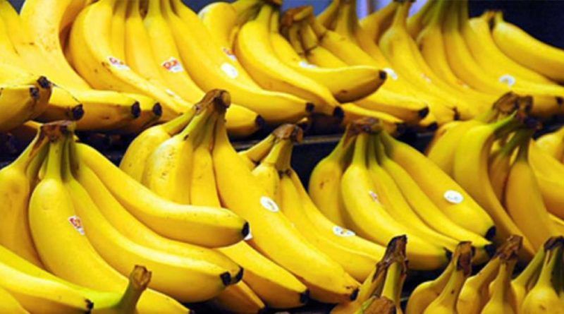 Mina Fruta del Norte proyecta $2.000 millones en exportaciones de oro para 2026