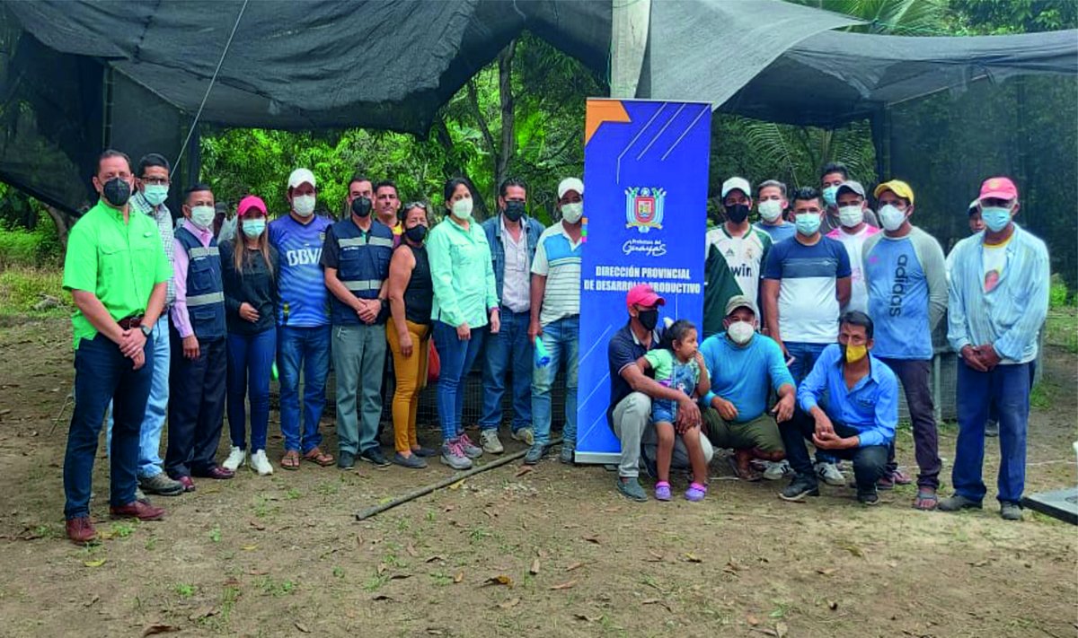 Siembra de tilapia roja en Lomas de Sargentillo impulsa producción acuícola local