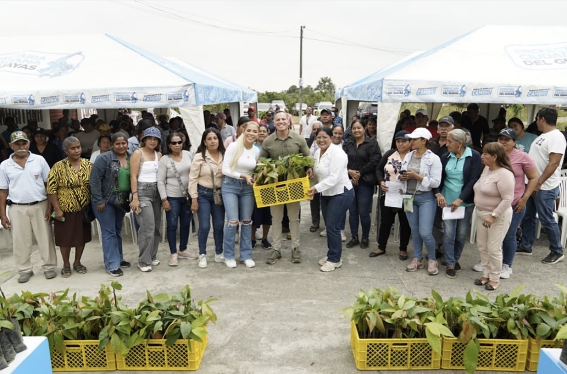 Prefectura del Guayas entrega 37 mil plántulas de cacao a agricultores de Simón Bolívar